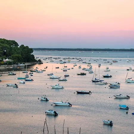 Spacieuse Avec Jardin Pour 16 Personnes - Fr-1-736-31 * Lège-Cap-Ferret
