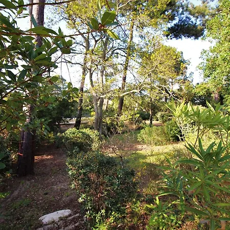 Spacieuse Avec Jardin Pour 16 Personnes - Fr-1-736-31